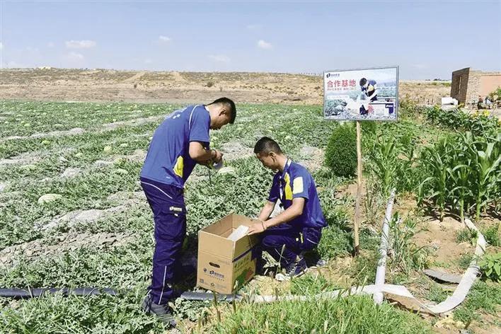 德邦开始发力快递行业又一分水岭,德邦快递集中化战略