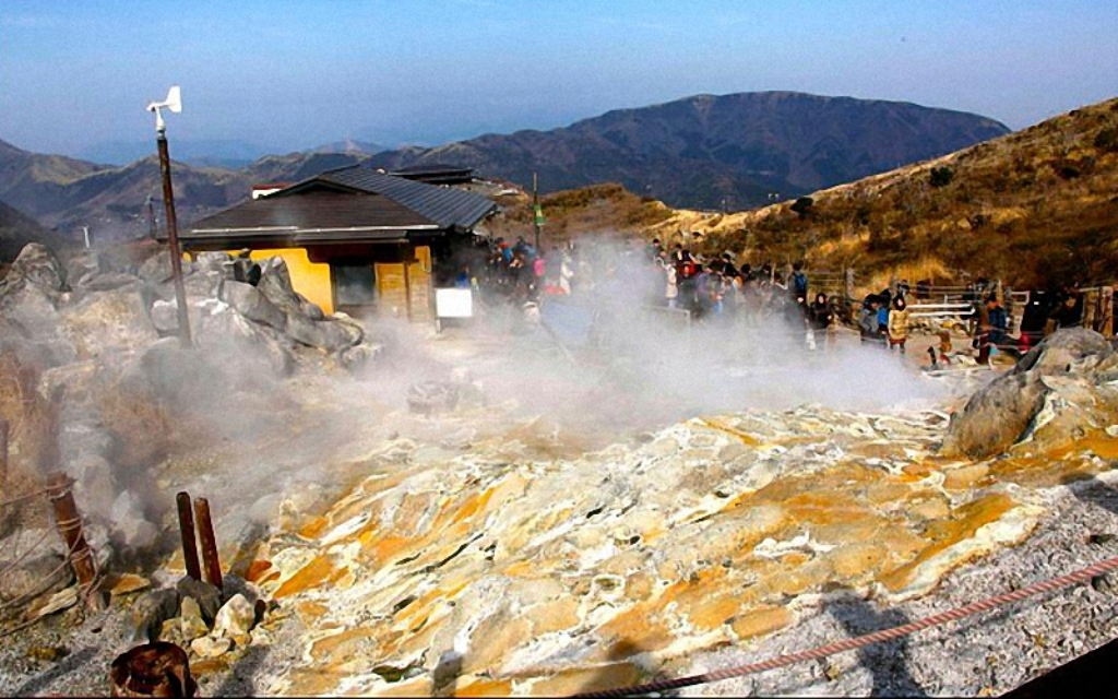 日本黑翡翠,日本特产黑珍珠