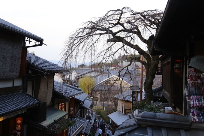 日本京都枫叶季旅游攻略,日本关西赏枫旅游攻略