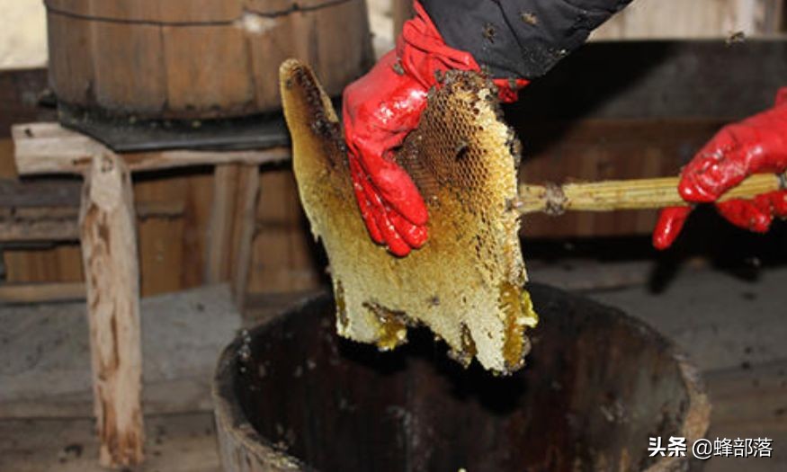 为什么有些人不吃蜂蜜,为什么有人不爱吃蜂蜜