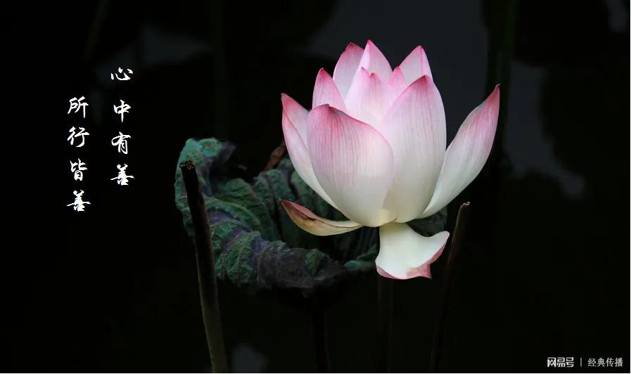 行善不是为了行善而行善,行善之人不要为了行善而行善