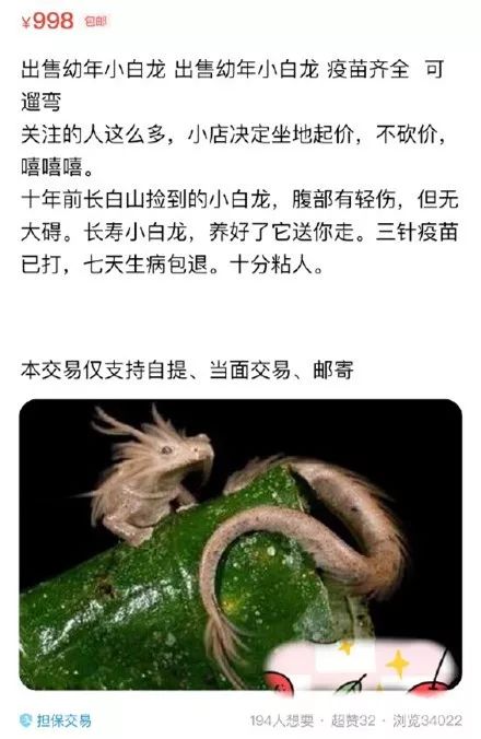 闲鱼上卖的神兽,闲鱼卖各种奇葩物品