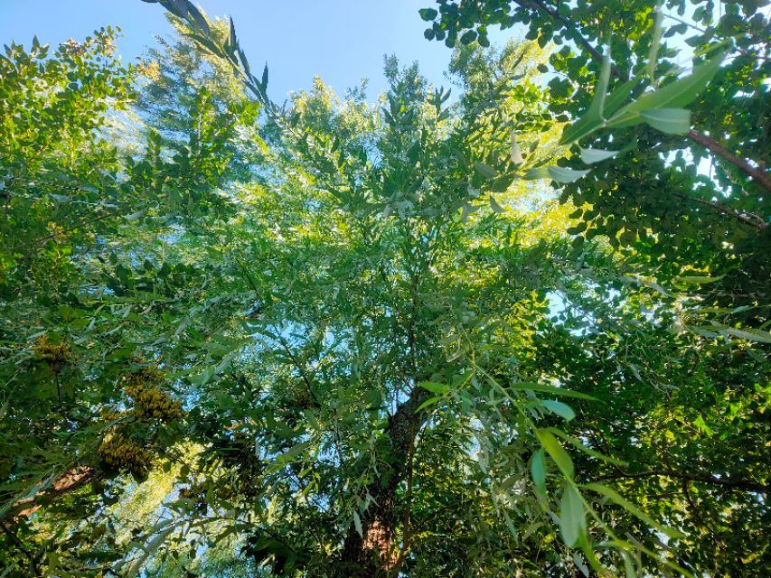 大连安波鸿缘温泉山庄,大连安波温泉民宿