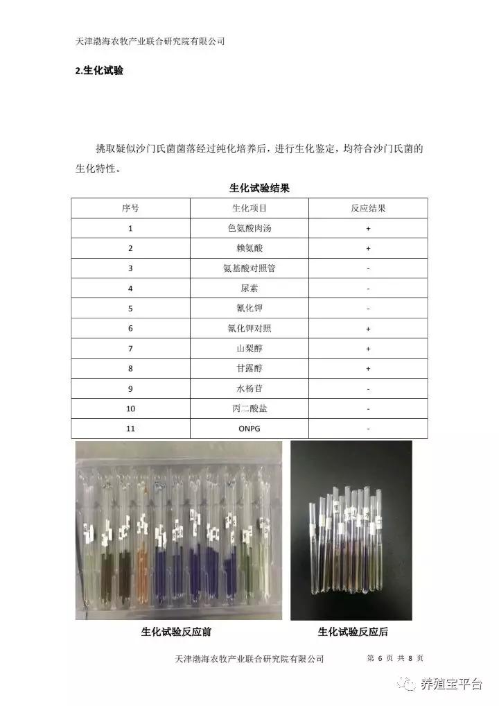 蛋鸡沙门氏菌的防治,治疗蛋鸡沙门氏菌的特效药