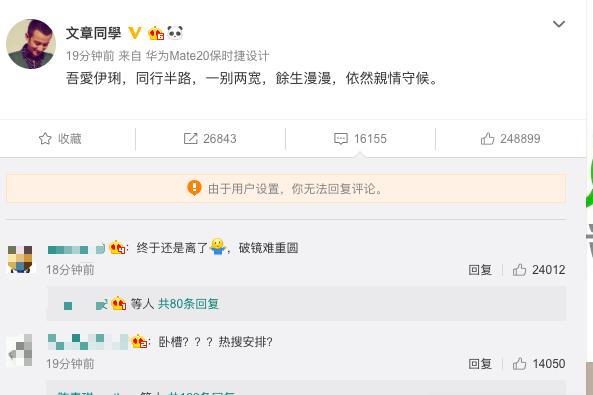文章和马伊琍离婚后怎么样了,文章和马伊琍谈过婚姻