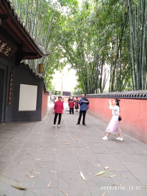 椋庨洦鑽夊爞鏉滅敨,椋庨洦鑽夊爞