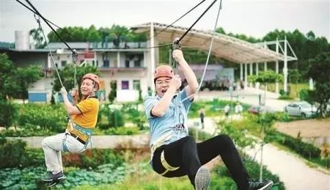 微巡礼|生命力之校——惠州中学