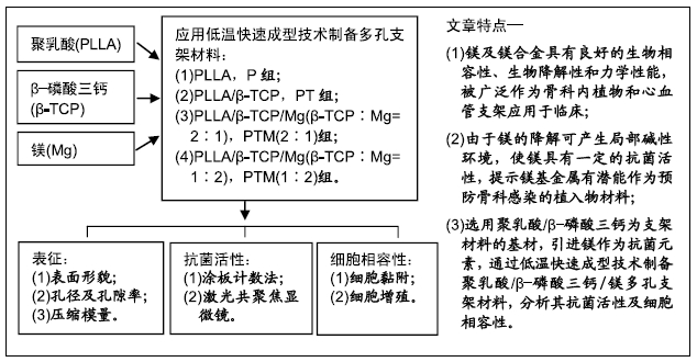 含镁多孔支架材料的体外抗菌活性和生物相容性