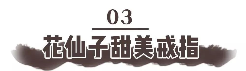走过路过不能错过原版,走过路过不能错过完整视频