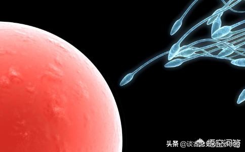 女性安全期前七后八怎样计算,女性有前七后八的安全期说法吗