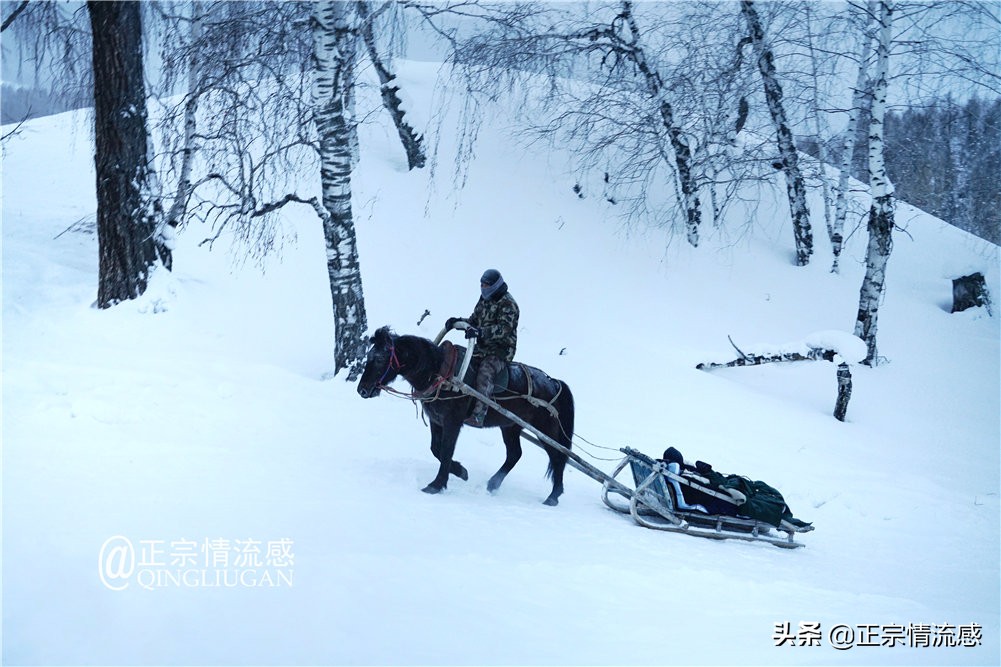 诗与远方：冬游喀纳斯