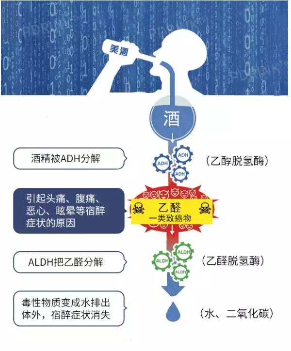 快递停运倒计时各种年货抓紧囤,过年邮政快递停运的时间