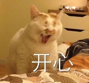 放假了猫咪带不走怎么办,过年了猫带不回去怎么办