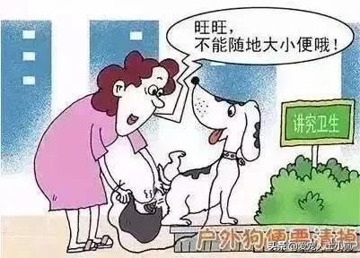 养狗需要具备哪些条件,养狗需要哪些条件