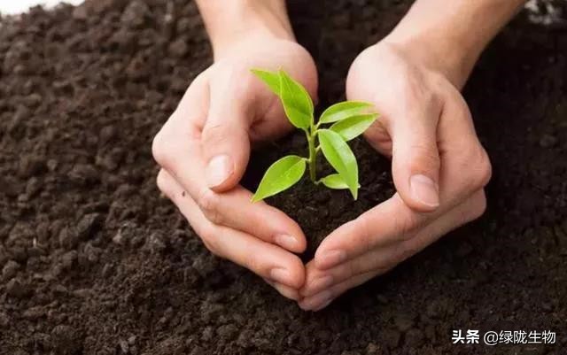 您还在花钱买“营养土”?营养土配制大全,养啥都合适!