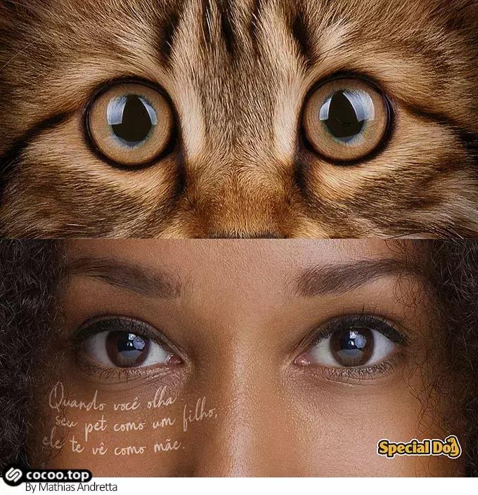 广告语中的骗局,广告语中滥用谐音字