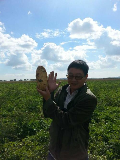 粮食价格暴涨对农民真的好吗,粮食涨价不可怕