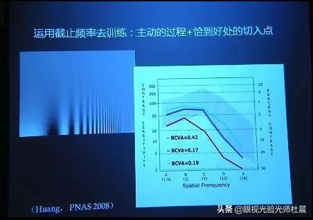 弱视训练提升视力,弱视训练是根据视力训练的吗