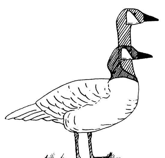 遇见恶霸你怎么办,遇见大鹅你应该怎么逃