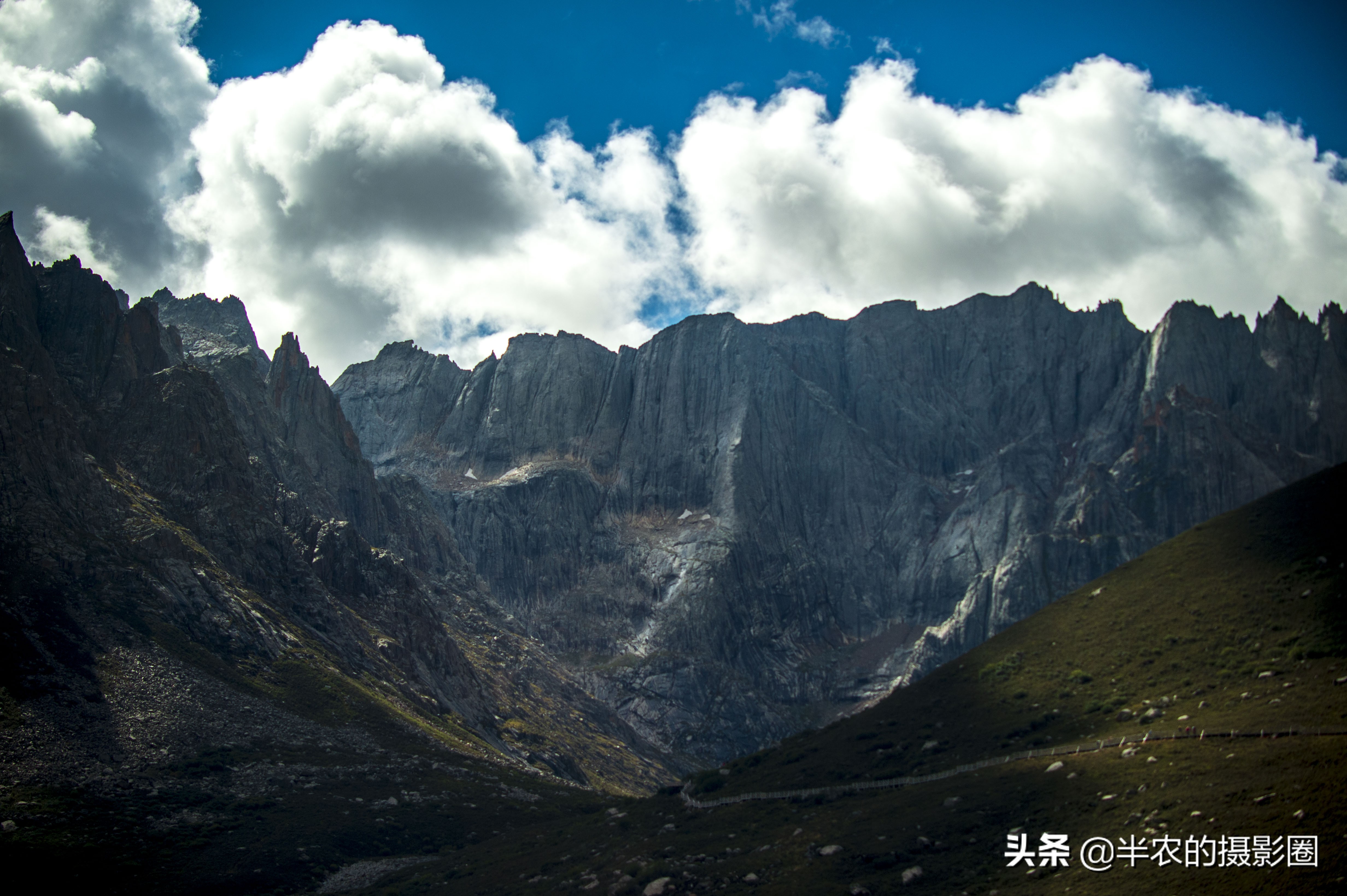 徕图碳纤维三脚架加云台超值套装,徕图bv-10液压云台怎么样