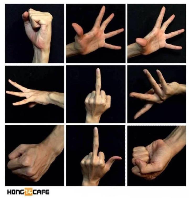 绘画简单的手部,画画小助手又简单又萌又好看