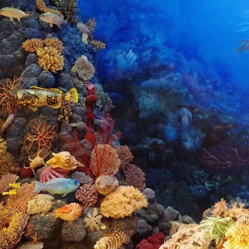 70年有什么经典的歌,6070年代都在听的一首歌