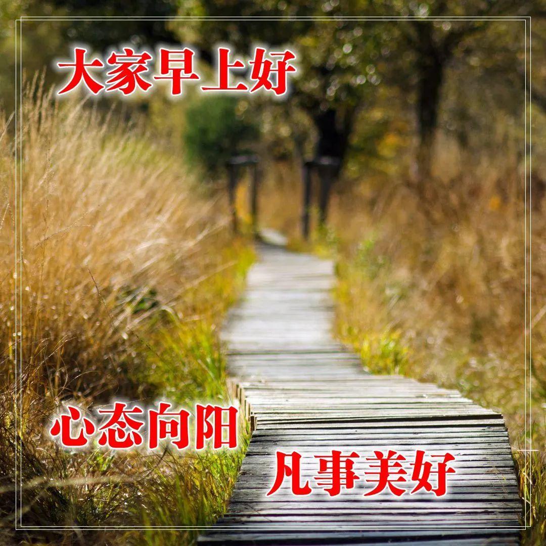 早上好表情图片带字早上好问候语,早上好祝福问候语大全简短图片