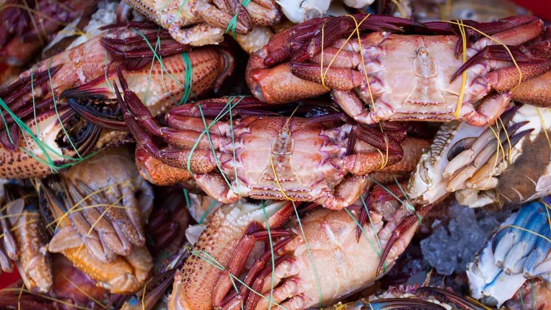 越南旅游自由行攻略视频,越南自由行详细攻略