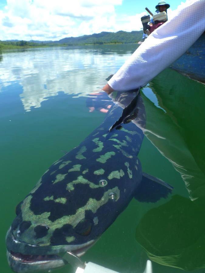 铁血战士打黑武士,铁血战士打特种兵