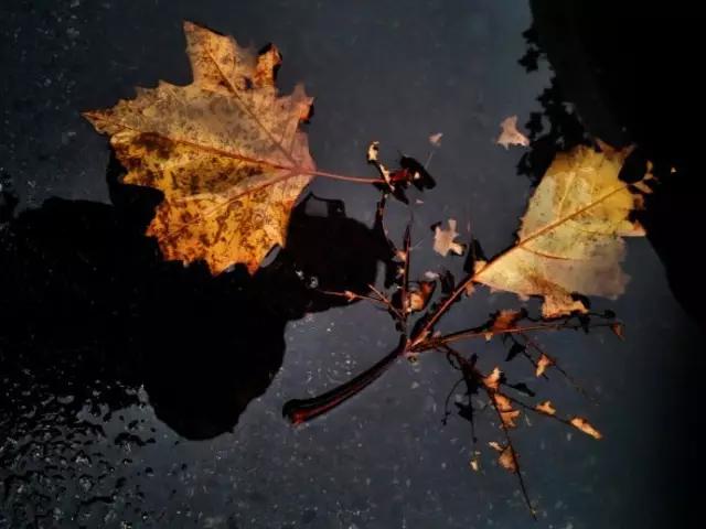 这个皇帝在位27天却犯下千条罪,这位皇帝