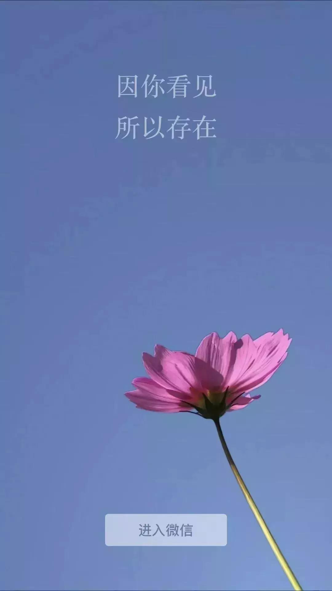 我的天，微信居然上线了“知乎”和“抖音”