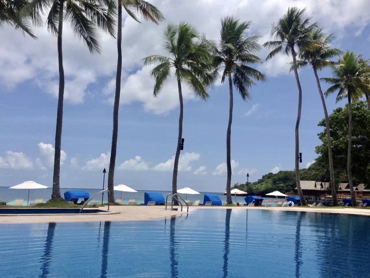 帕劳太平洋水族箱,潜水胜地帕劳水族箱