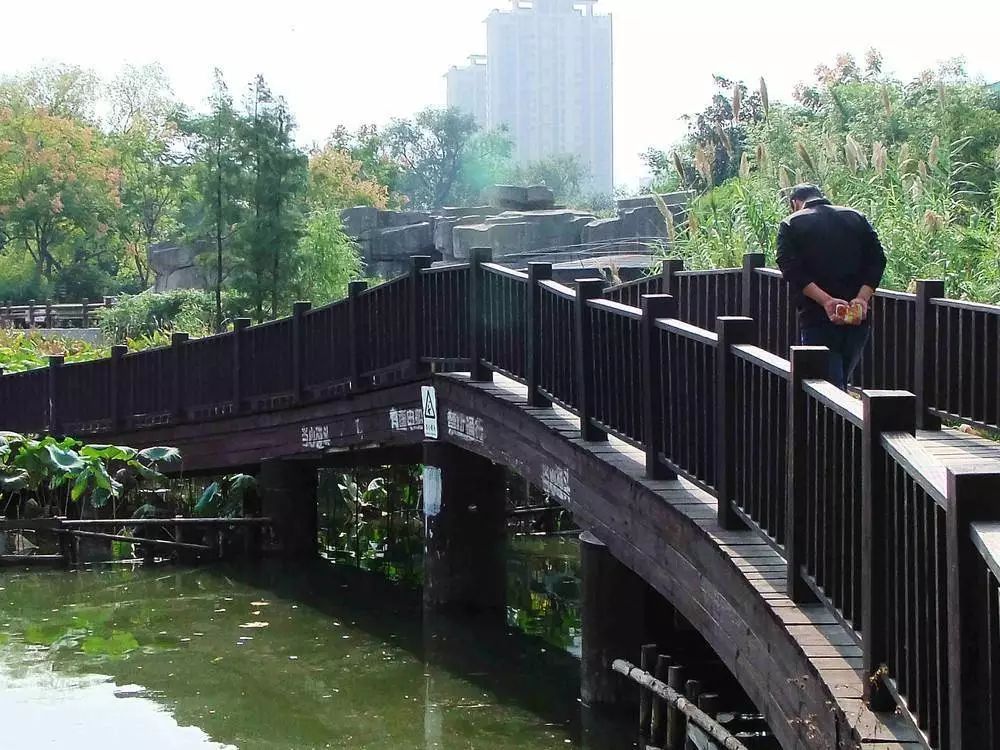 骂人为什么会心里难受,现在骂人和以前骂人的区别