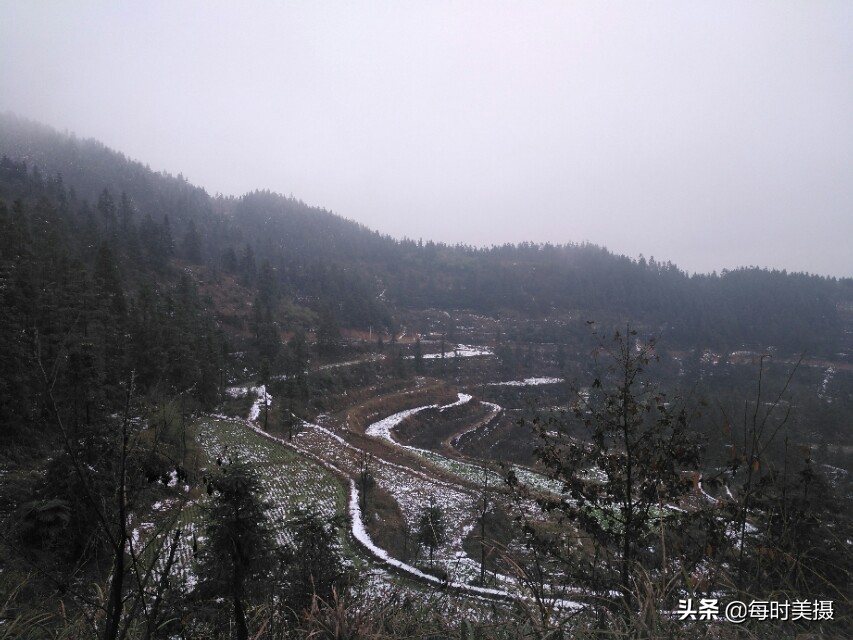 那一声声画眉啼脆惹人醉