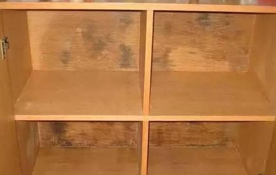 柜子发霉怎么办才能去除霉斑,柜子发霉如何处理