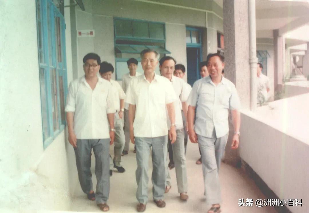 新兴县华侨中学学校介绍,新兴华侨中学历史