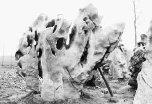 怪异的奇石,怪异奇石风景图片