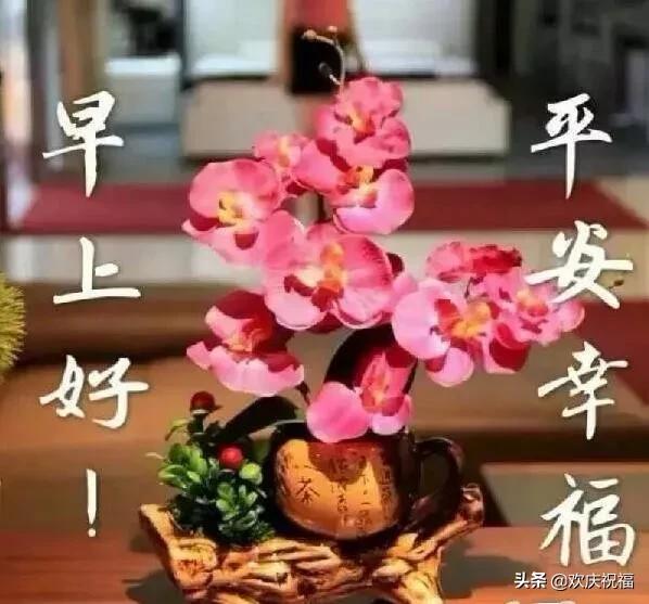 早上好祝福语会动的早上好图片,最新早上好问候祝福语图片图文