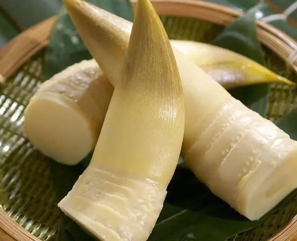 春笋炒肉有肉的浓香又有笋的清香,精致粤菜春笋炒肉