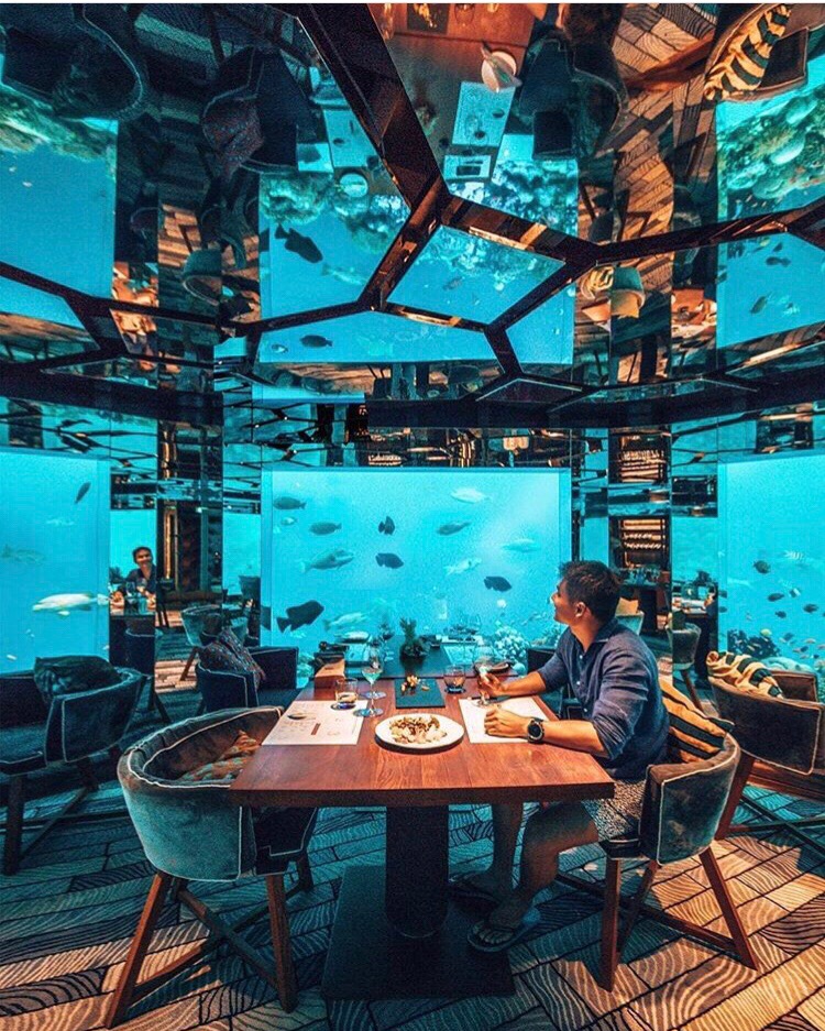 马尔代夫法式水上餐厅,马尔代夫海底餐厅视频