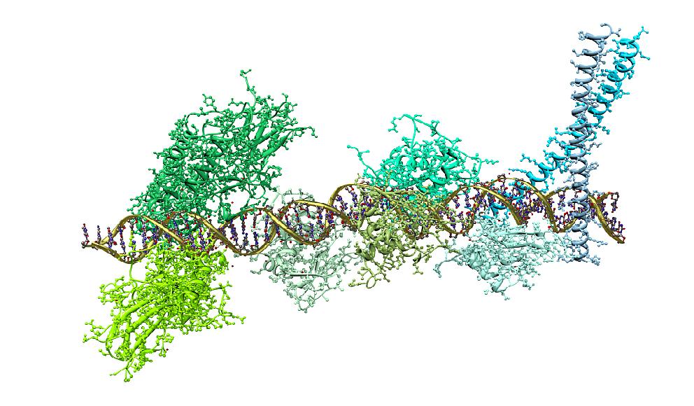如果饲料也有“米其林”评级，蛋白质只算家常菜，肽才是精致料理