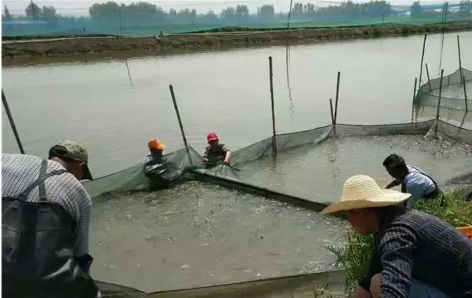 总碱度和总硬度是如何控制的,酸碱度和硬度的区别