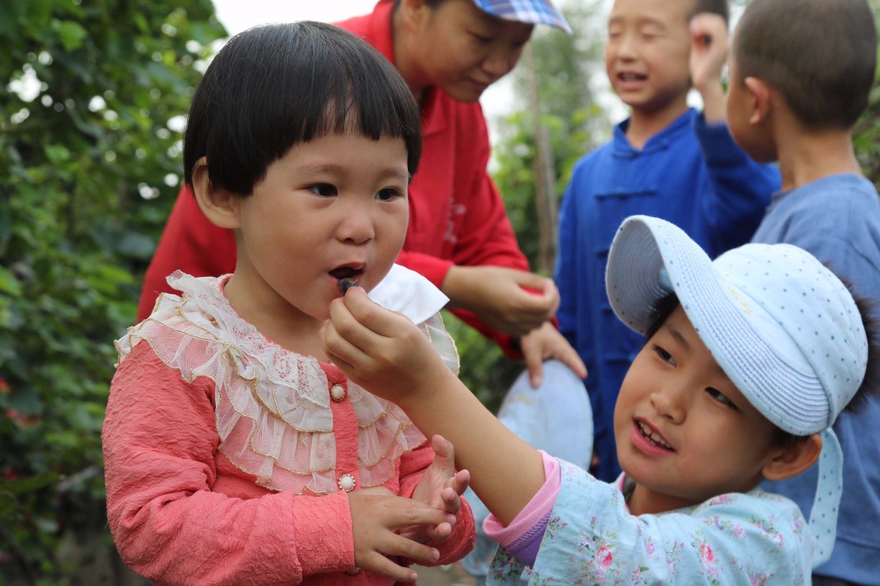 中华成语大全带注释,出口成章成语大全