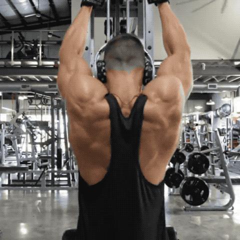 倒三角背部锻炼大解析,不练到斜方肌的倒三角身材训练