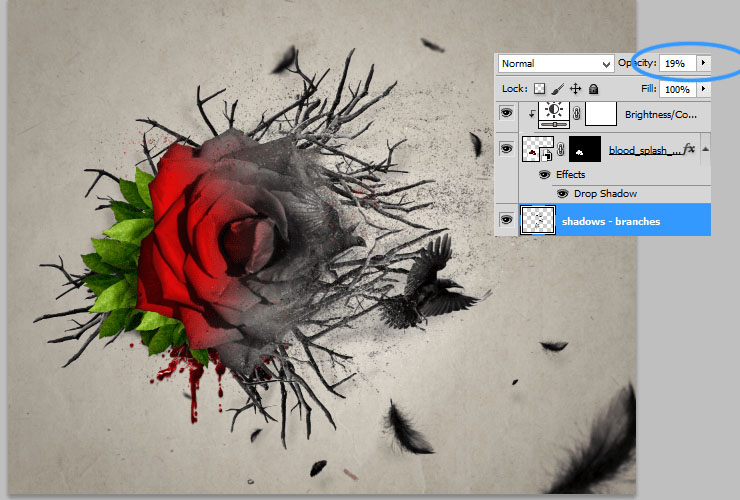 ps如何换花朵教程图解,ps怎么画枯萎的玫瑰