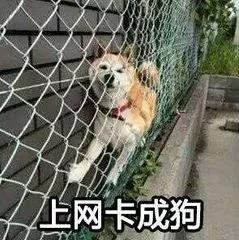 最垃圾的宽带排行,中国最差宽带排行榜