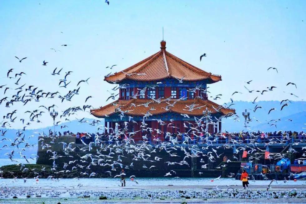 跟厦门一样浪漫的城市,厦门一个文艺又浪漫的城市