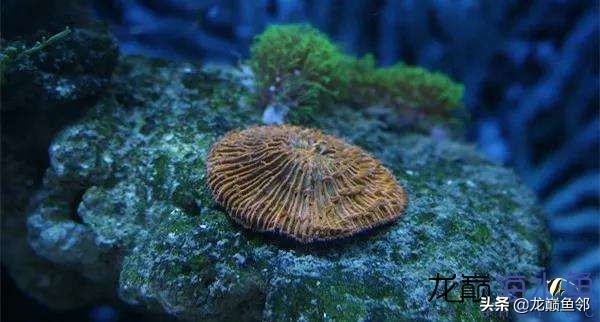 说出来都是泪！只有新下海的人才能体会这种痛，简直是全军覆灭