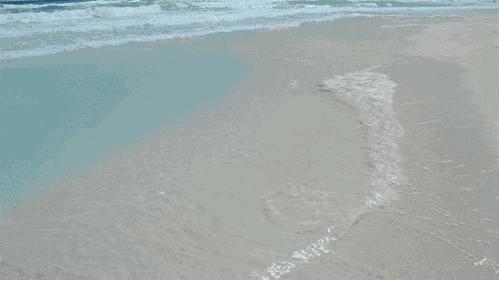 青岛开发区四中重点班,青岛开发区四中真的那么好吗