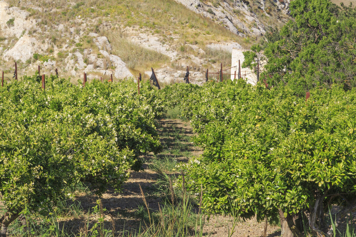 项目快报：江西省“51项”获批项目，精选发布，让你收获商机